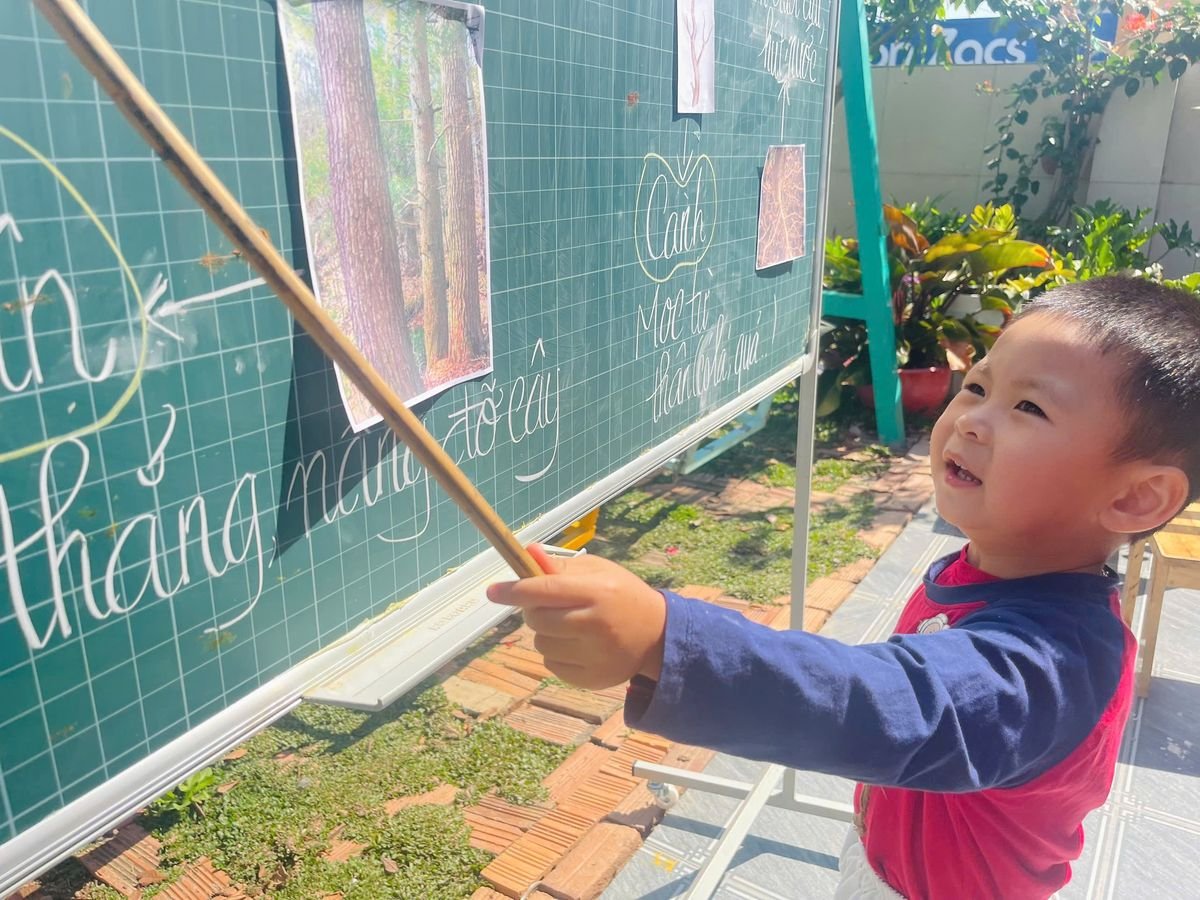 Ảnh hoạt động