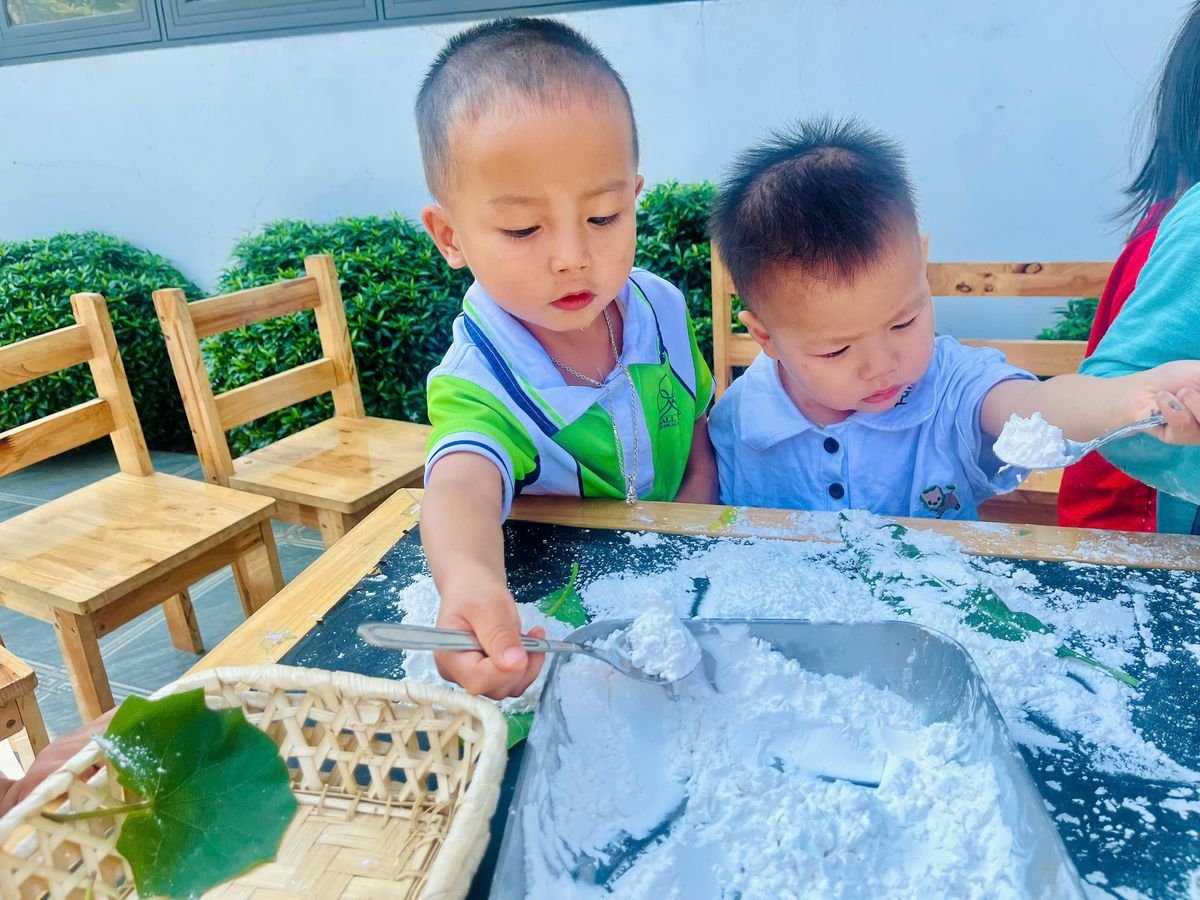 Ảnh hoạt động