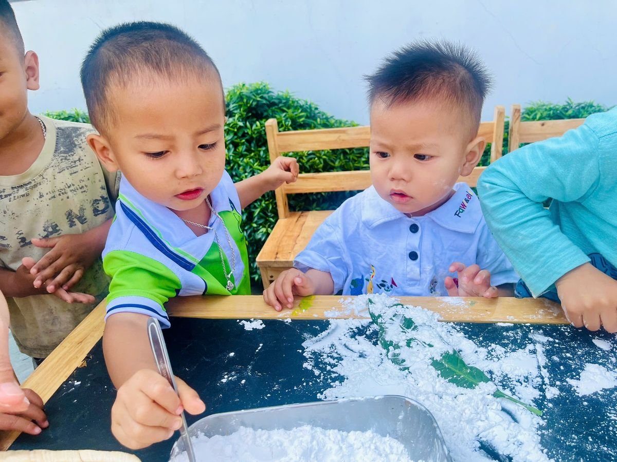 Ảnh hoạt động