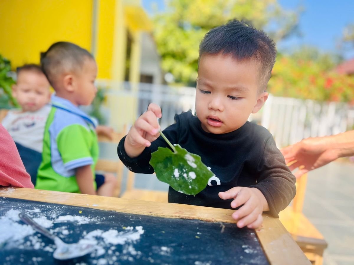 Ảnh hoạt động