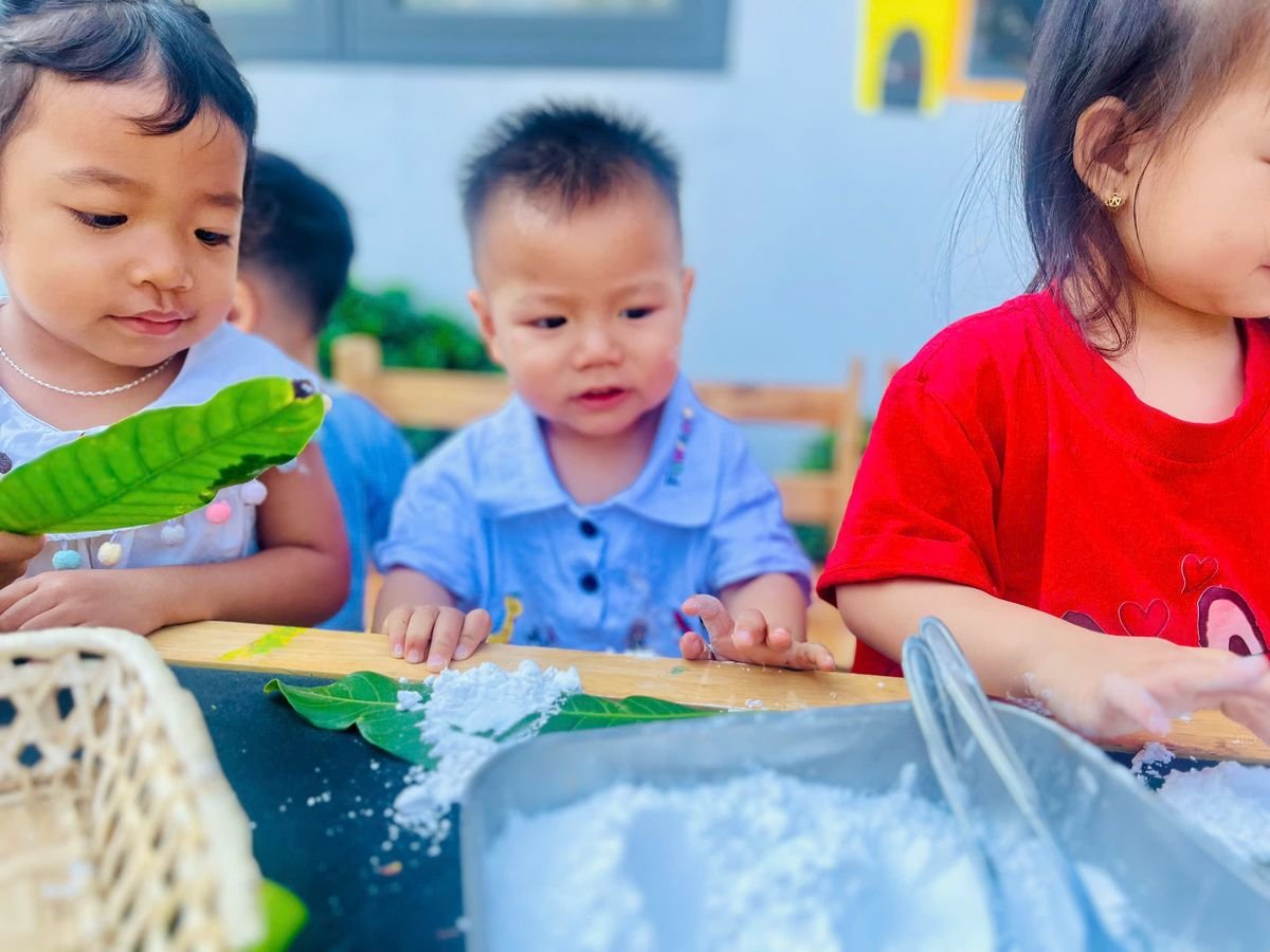 Ảnh hoạt động