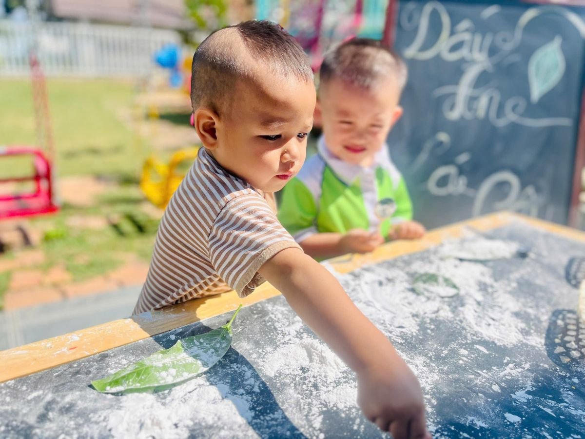 Ảnh hoạt động