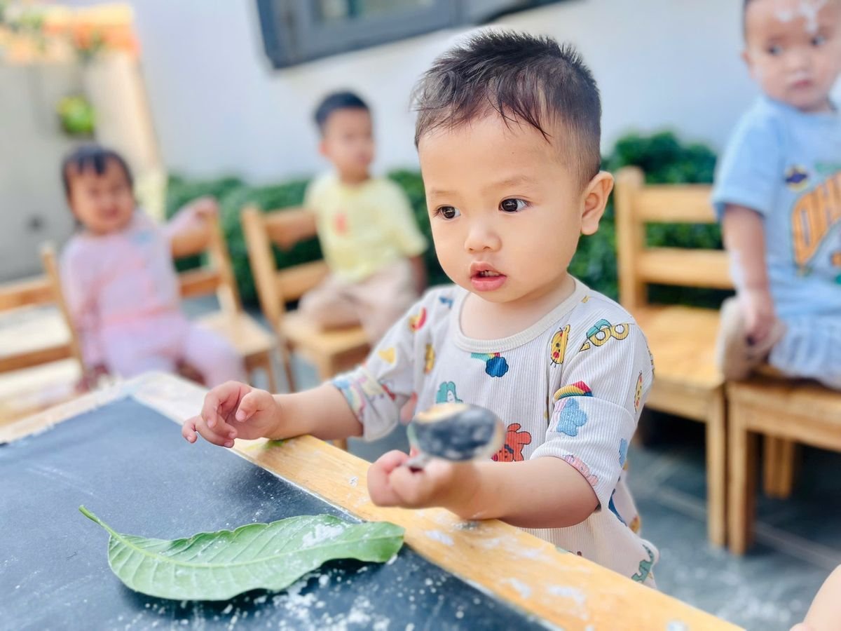 Ảnh hoạt động