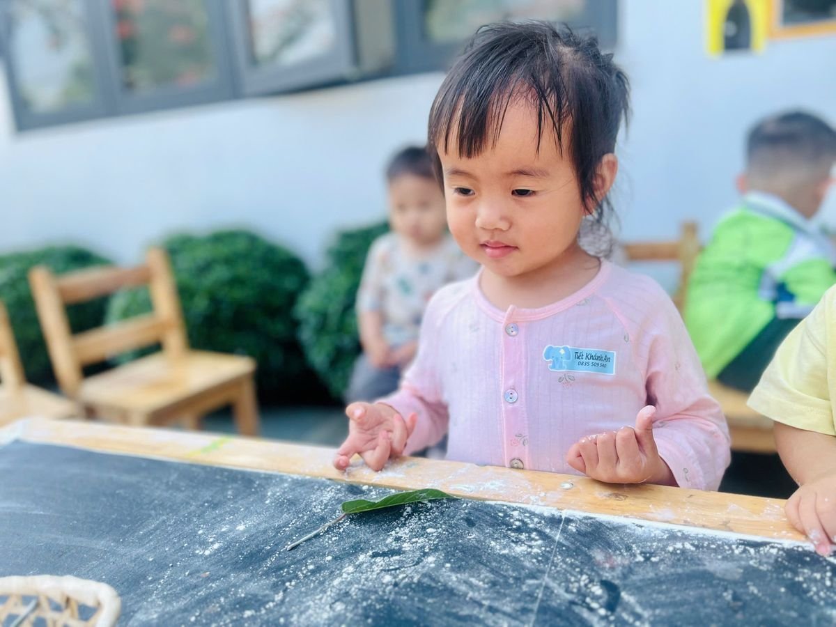 Ảnh hoạt động