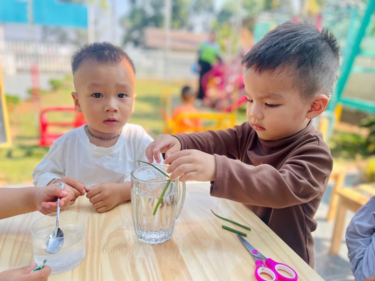 Ảnh hoạt động