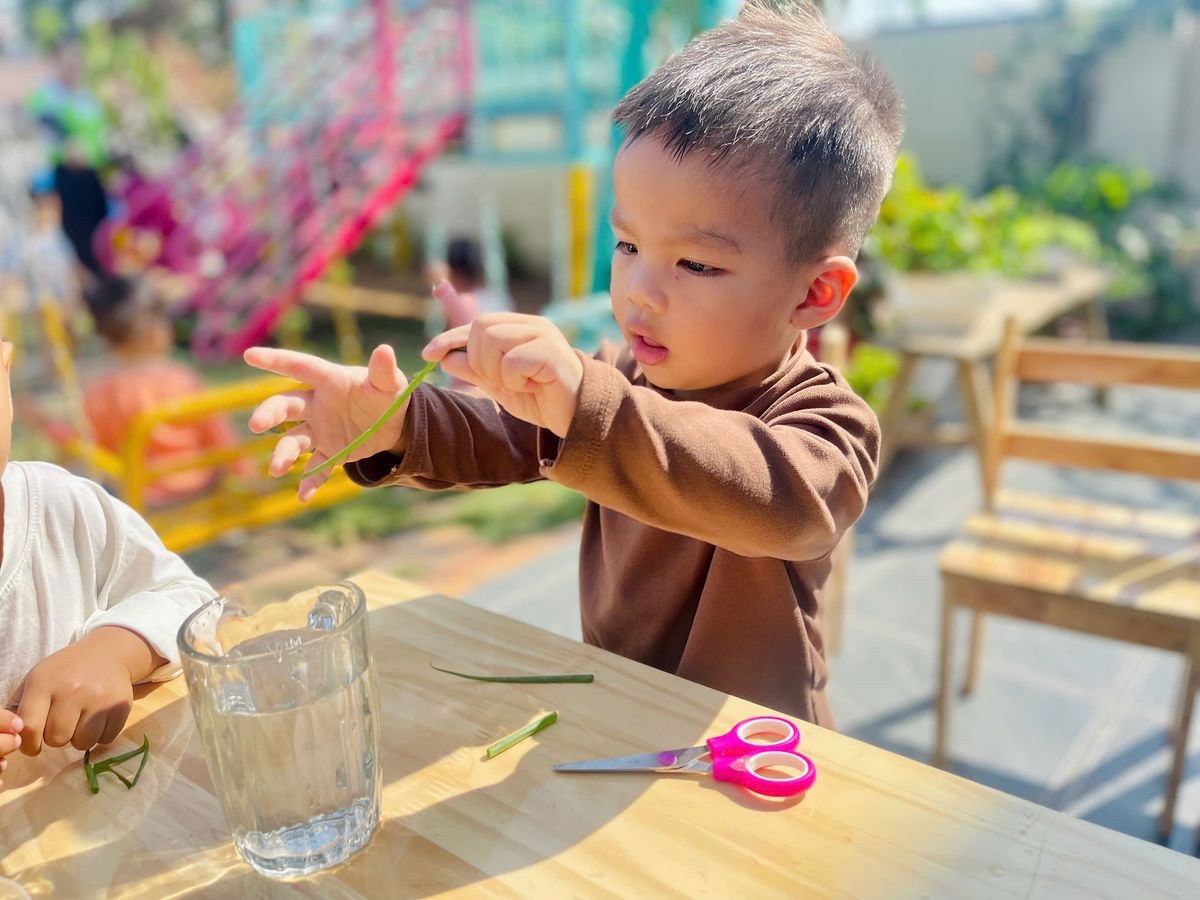 Ảnh hoạt động