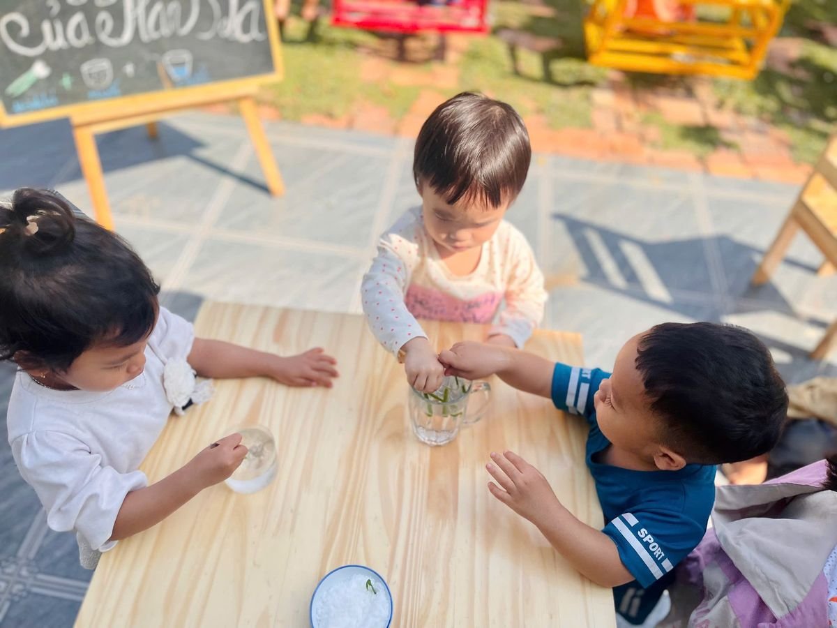 Ảnh hoạt động