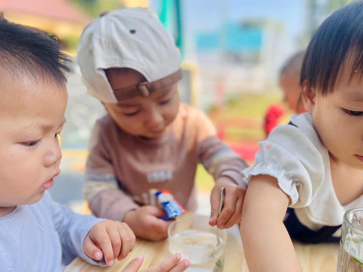 Ảnh hoạt động