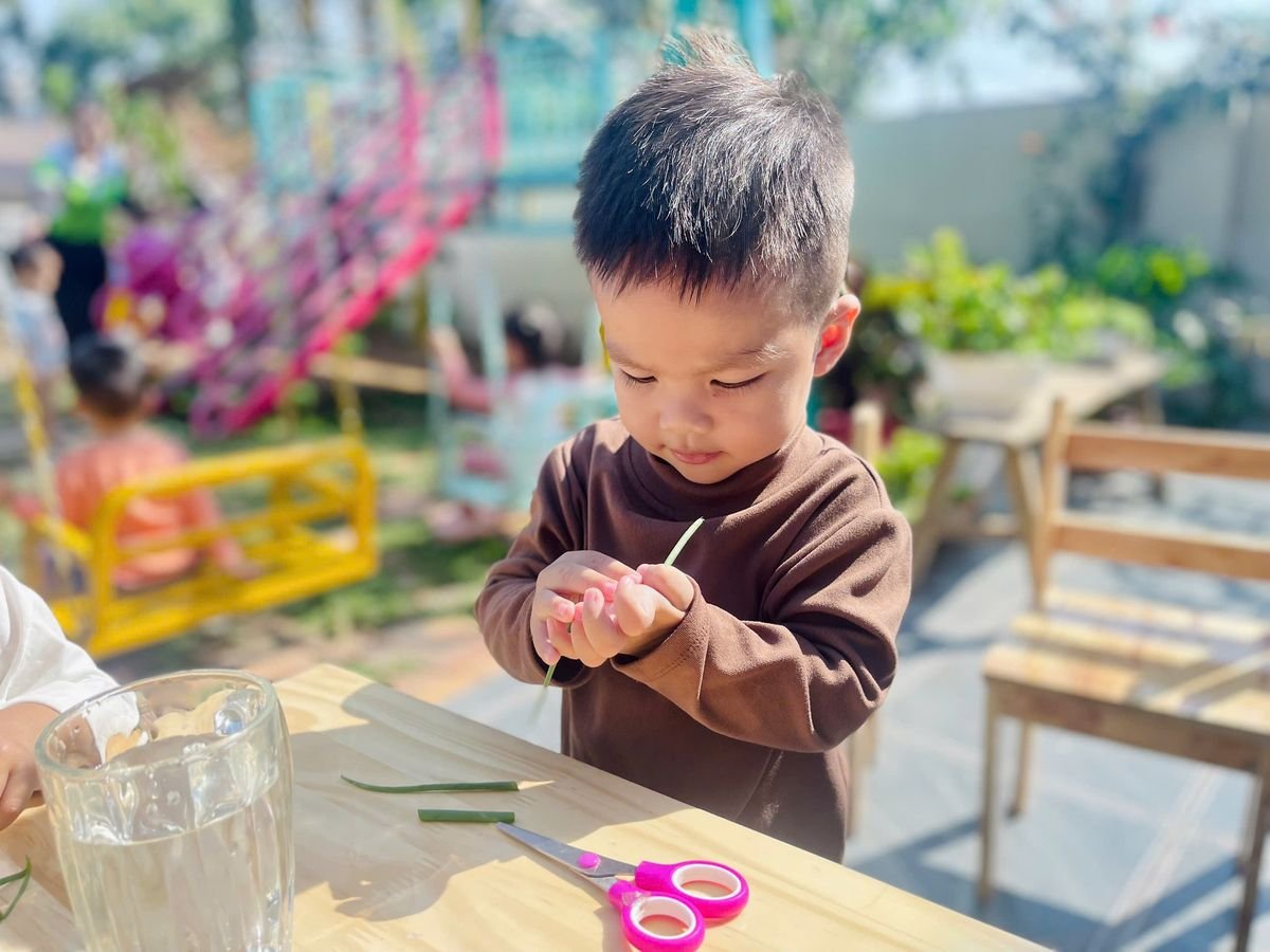 Ảnh hoạt động