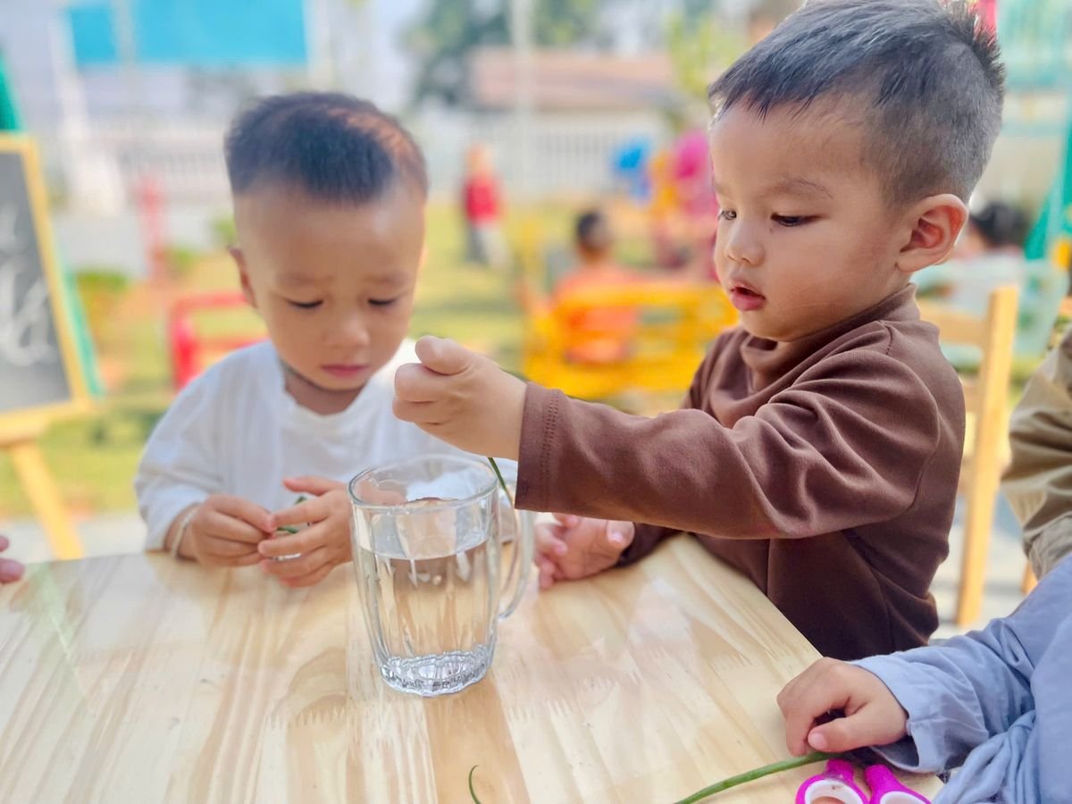 Ảnh hoạt động