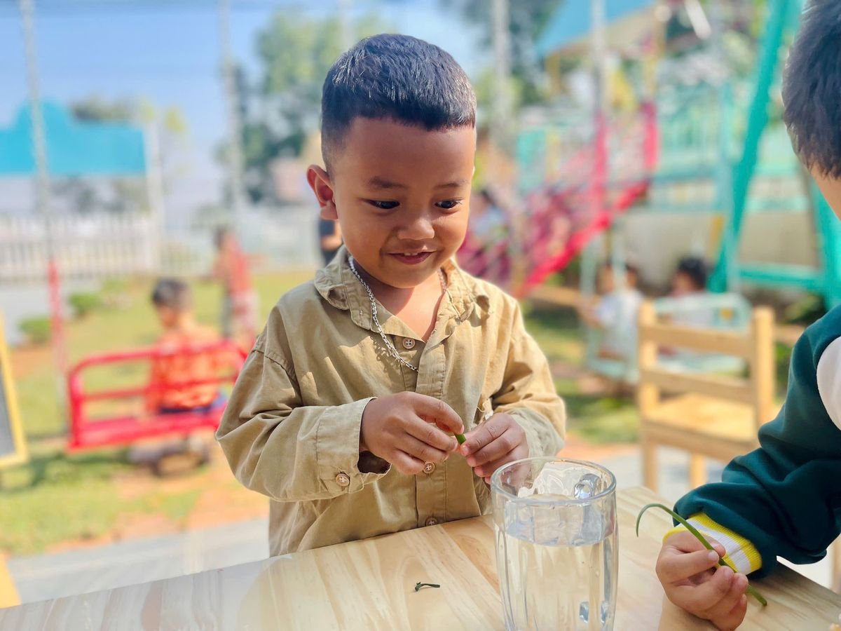 Ảnh hoạt động