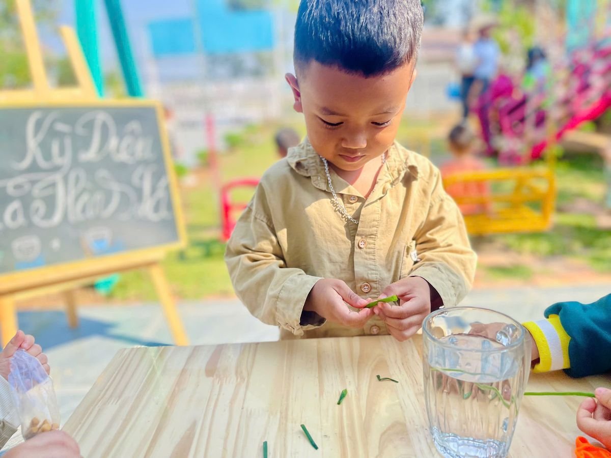 Ảnh hoạt động