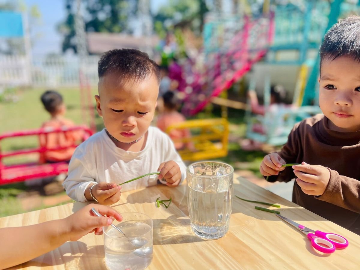 Ảnh hoạt động