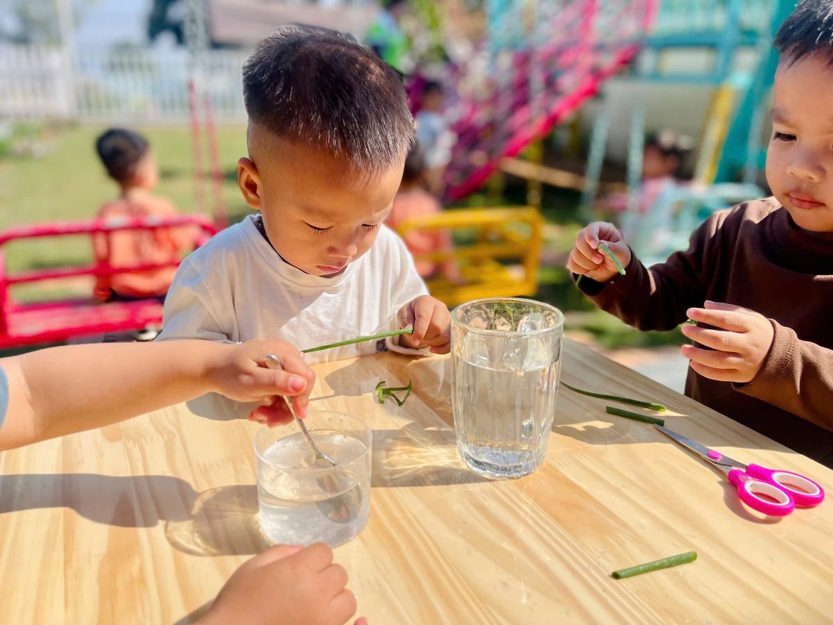 Ảnh hoạt động