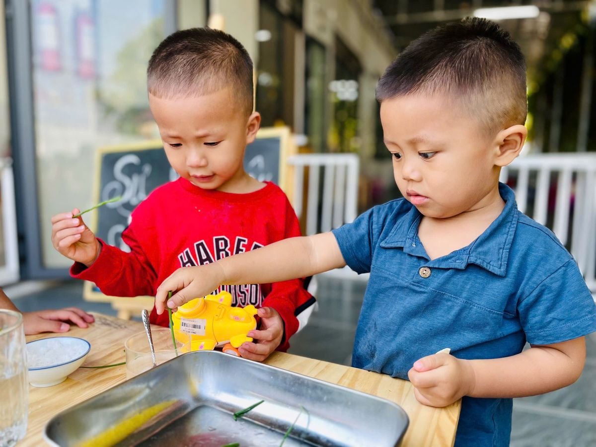 Ảnh hoạt động