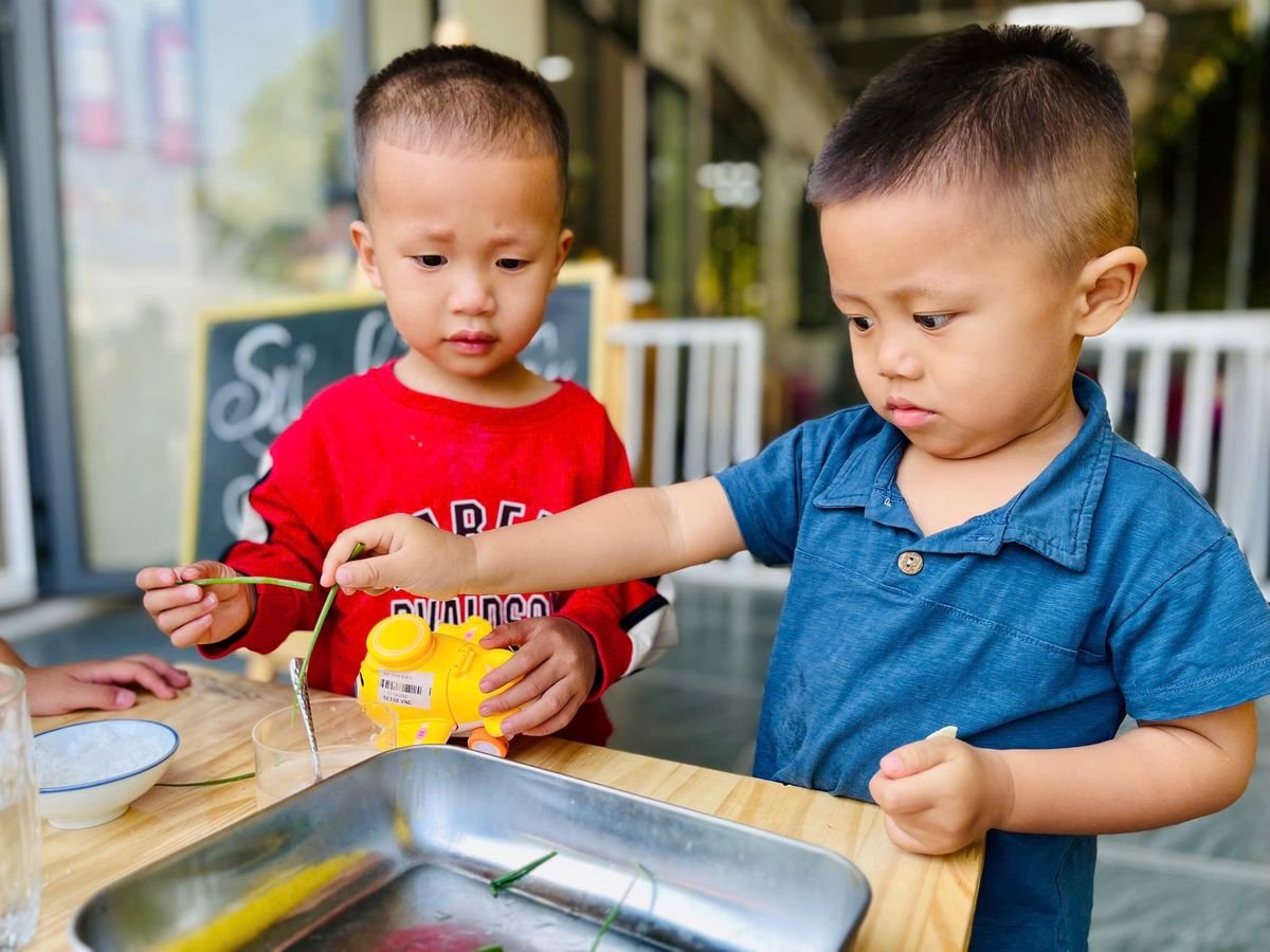 Ảnh hoạt động