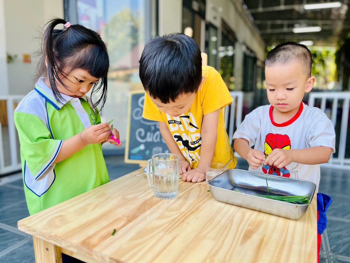 Ảnh hoạt động