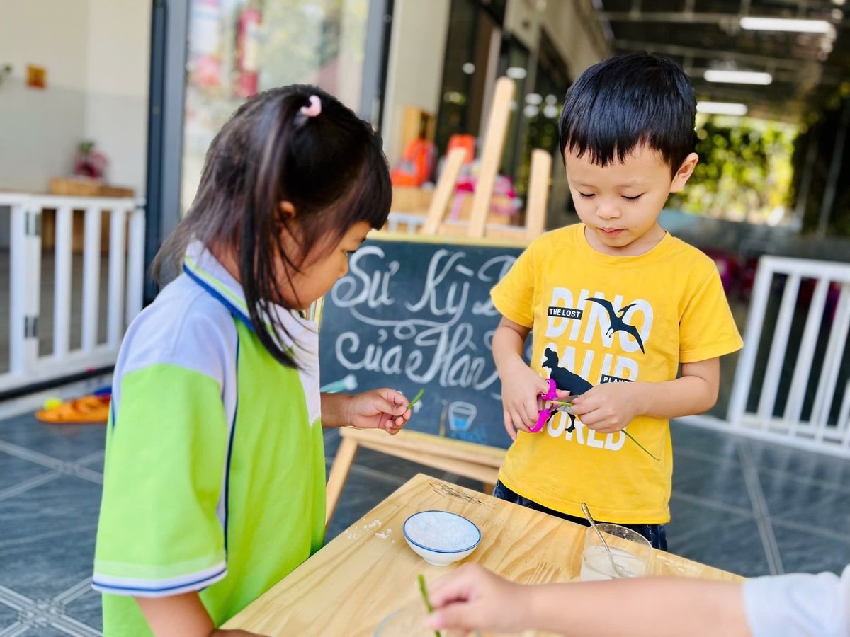 Ảnh hoạt động