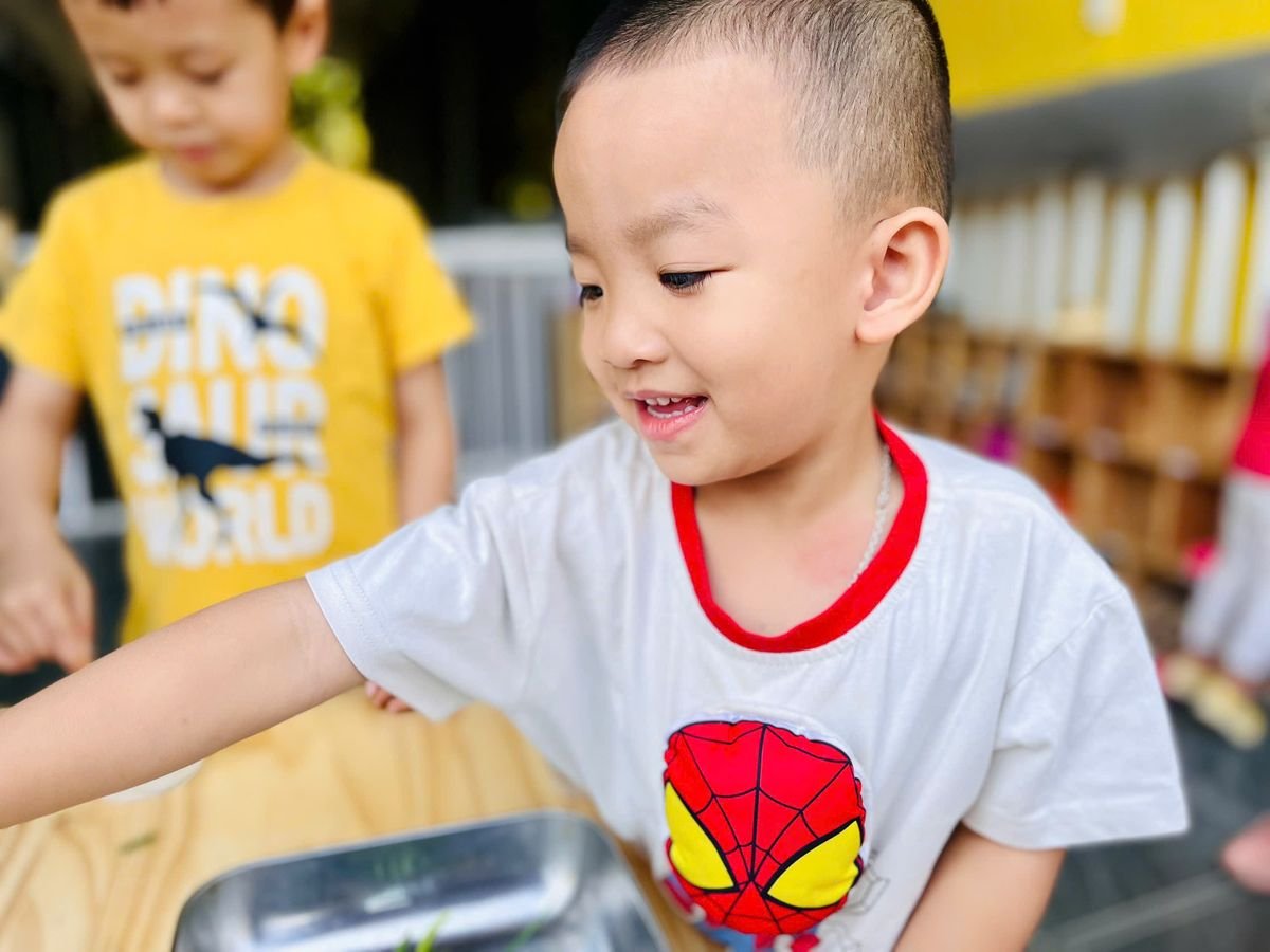 Ảnh hoạt động