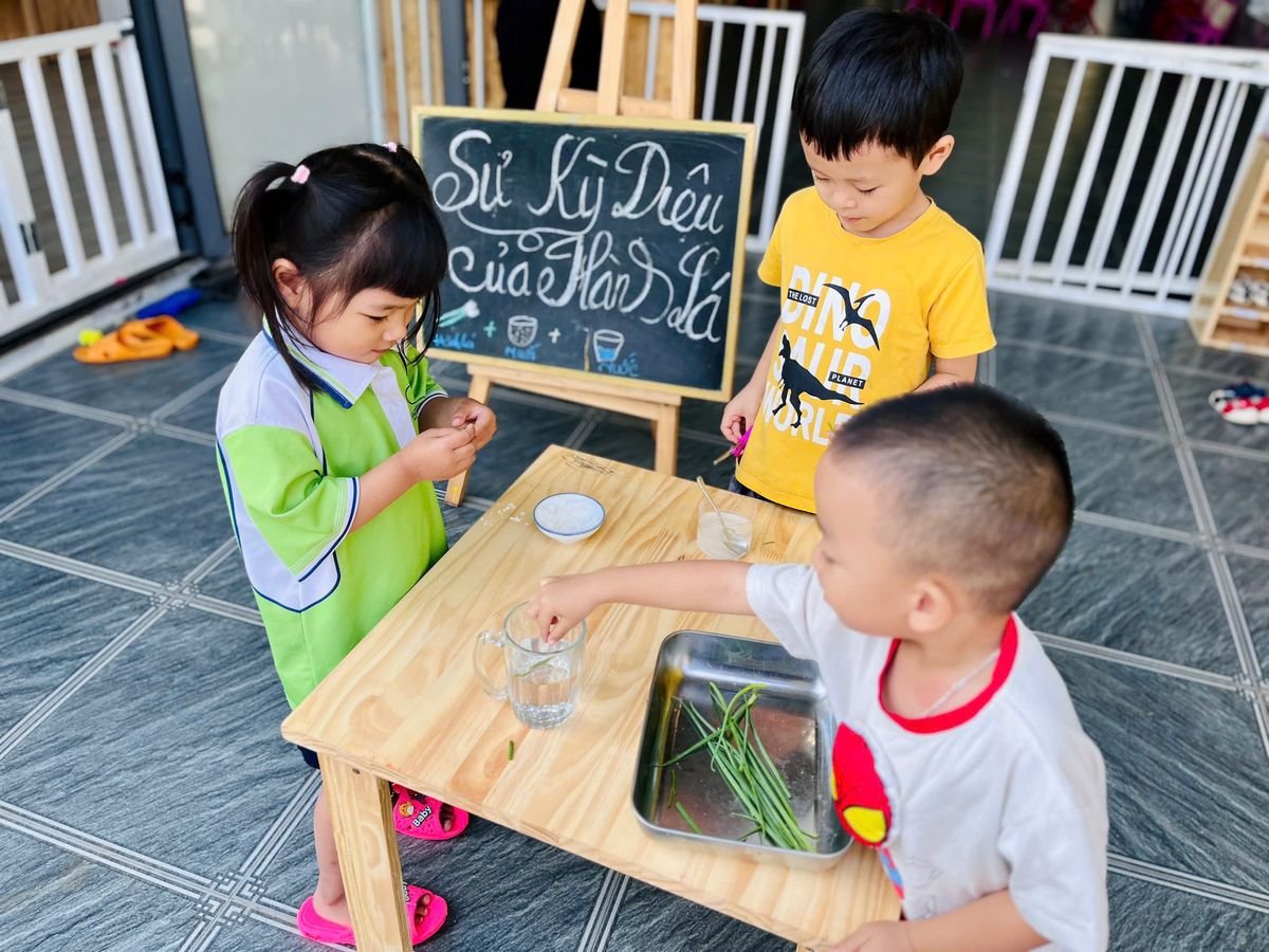 Ảnh hoạt động