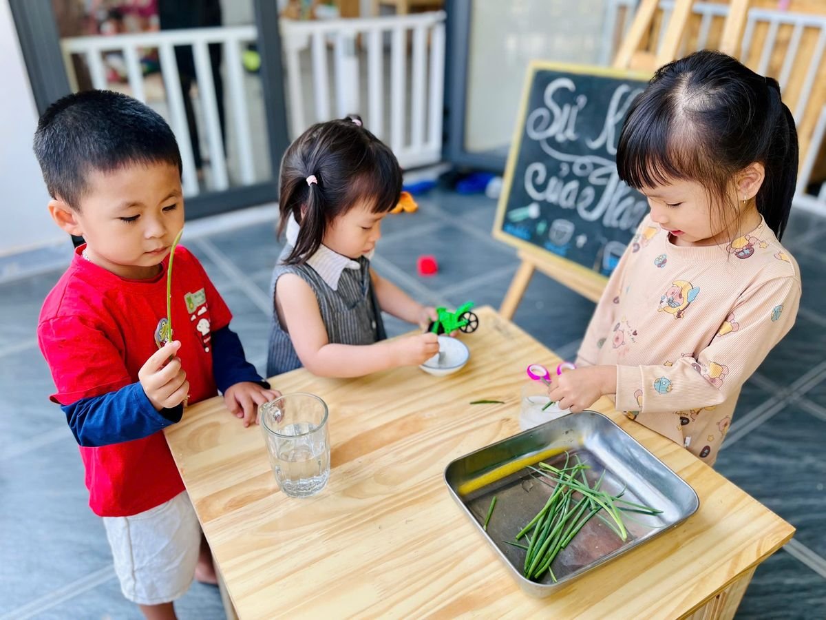 Ảnh hoạt động