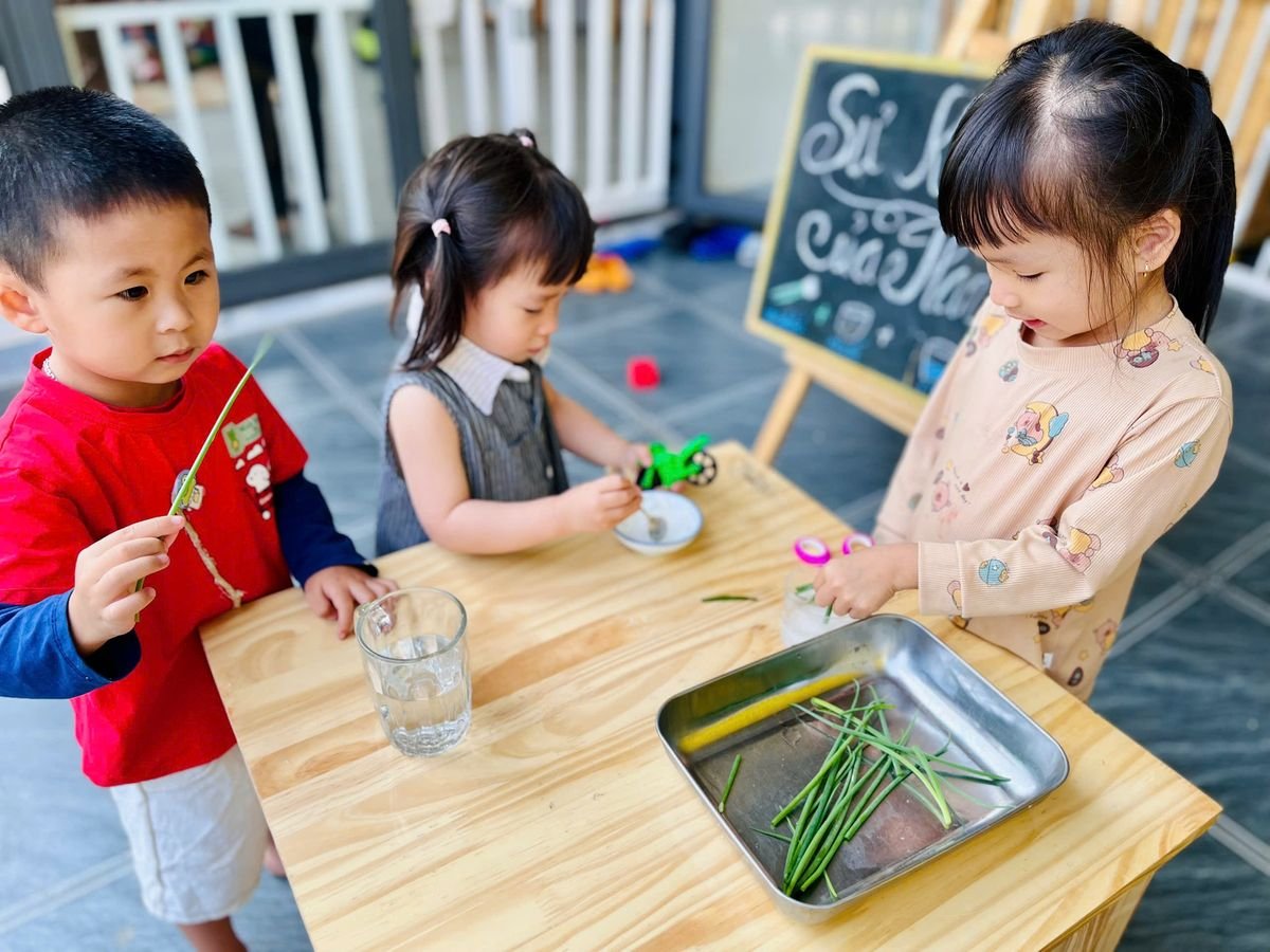 Ảnh hoạt động