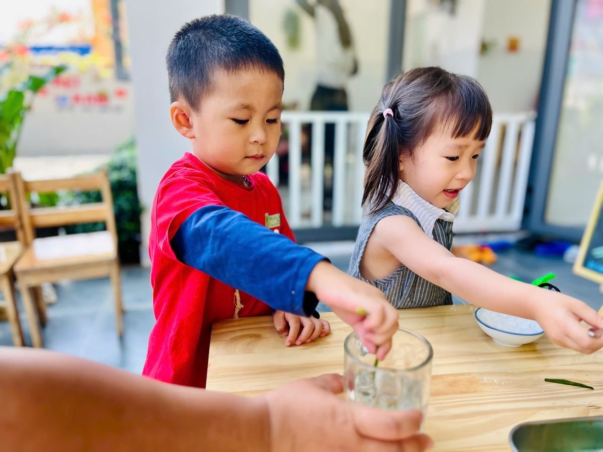 Ảnh hoạt động