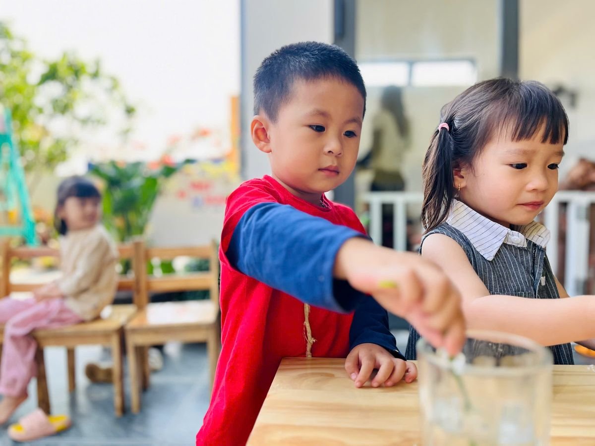 Ảnh hoạt động