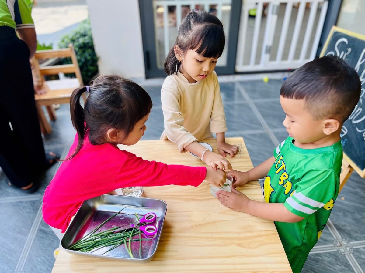 Ảnh hoạt động