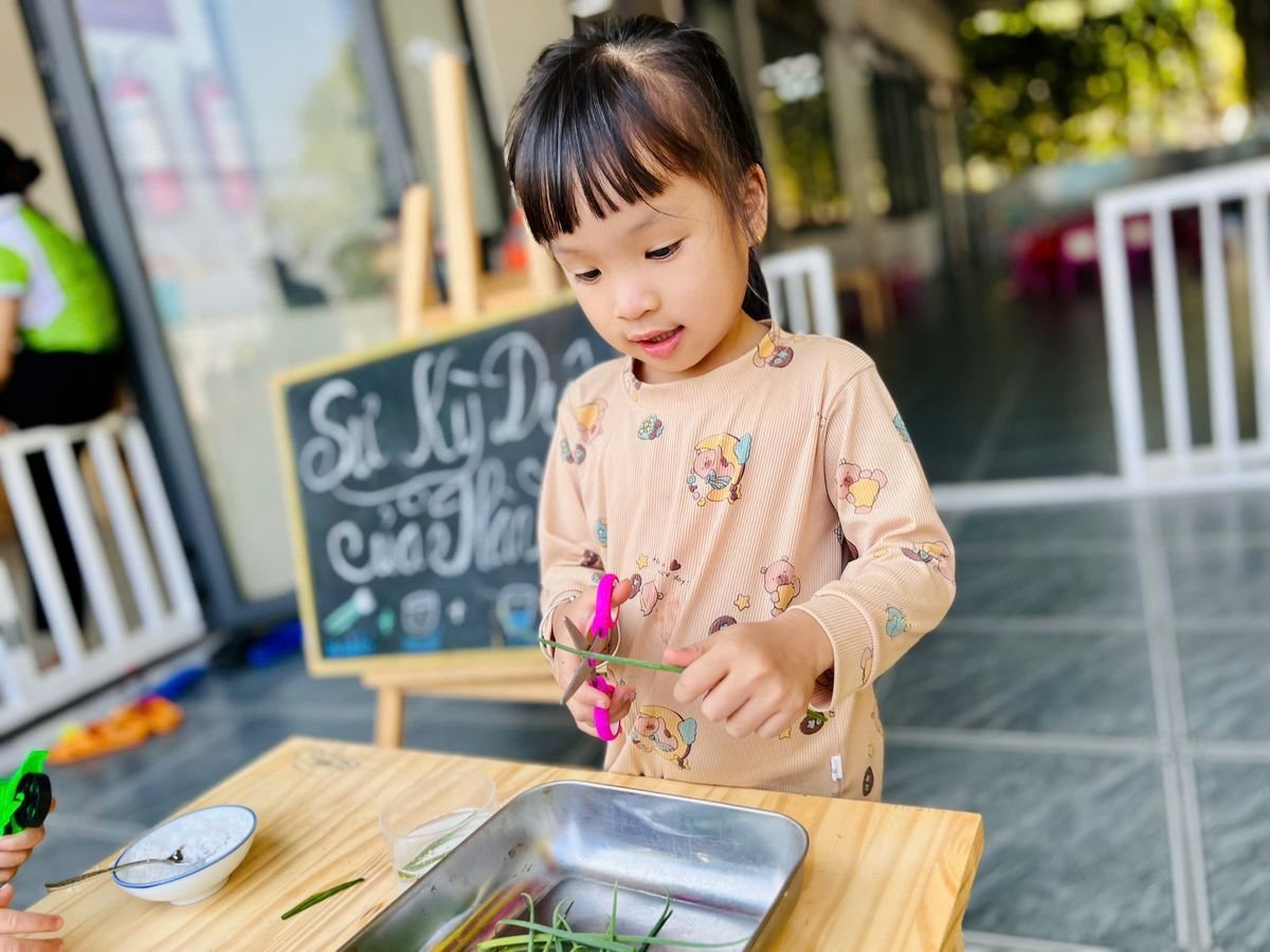 Ảnh hoạt động