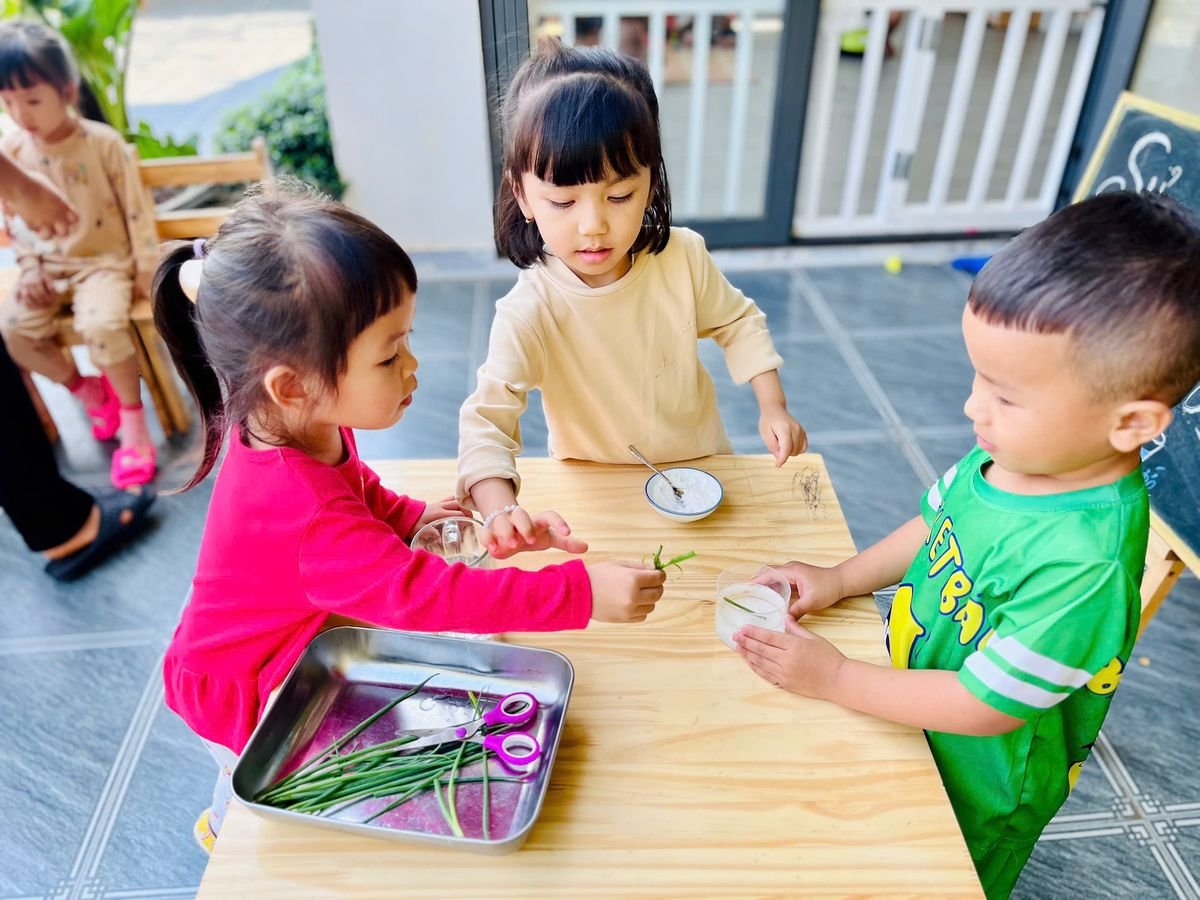 Ảnh hoạt động