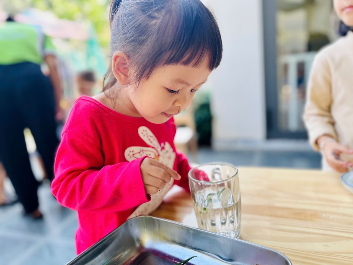 Ảnh hoạt động