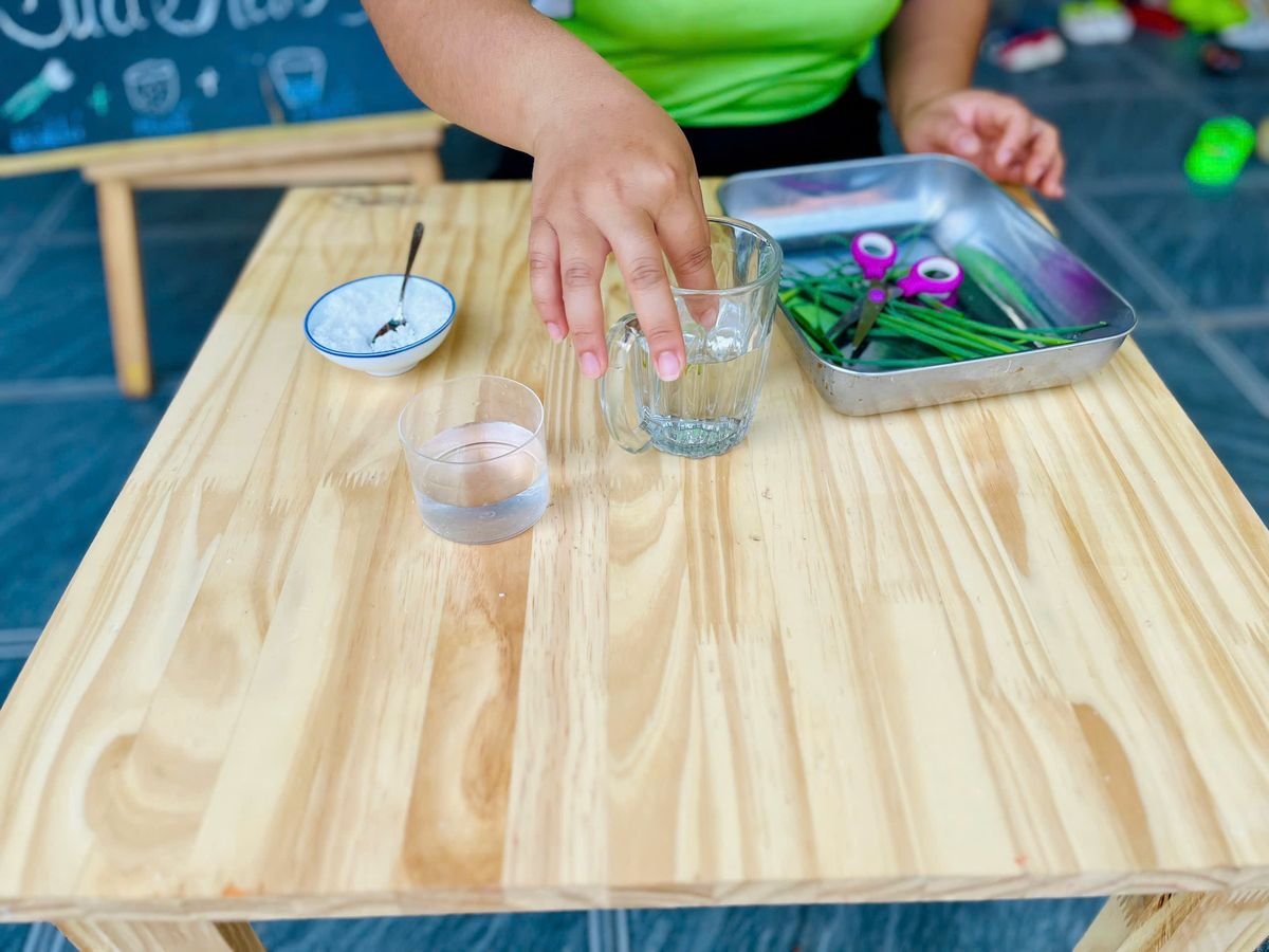 Ảnh hoạt động