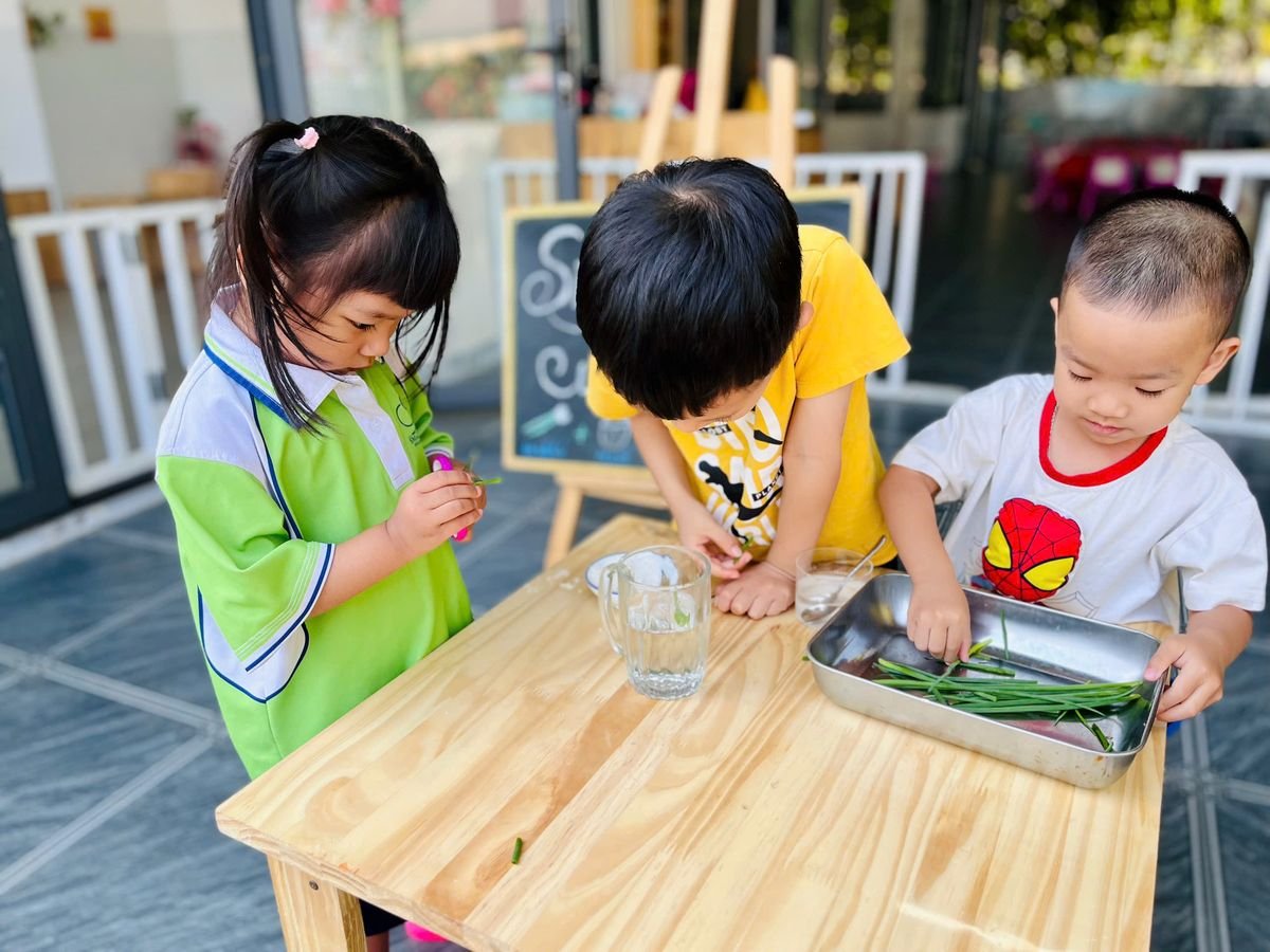 Ảnh hoạt động