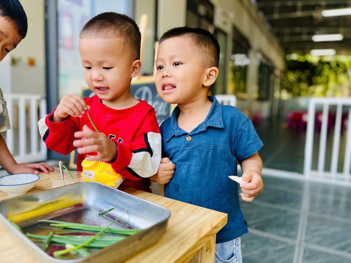 Ảnh hoạt động