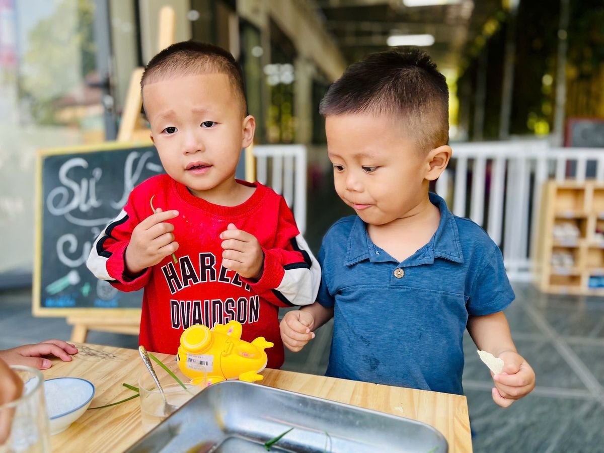 Ảnh hoạt động