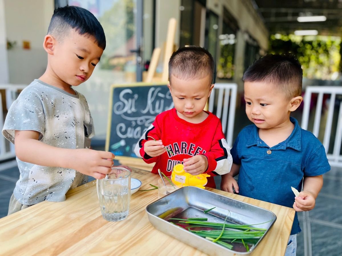 Ảnh hoạt động