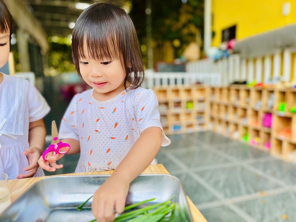 Ảnh hoạt động