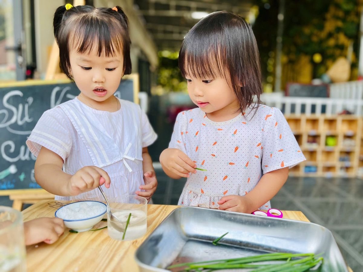 Ảnh hoạt động