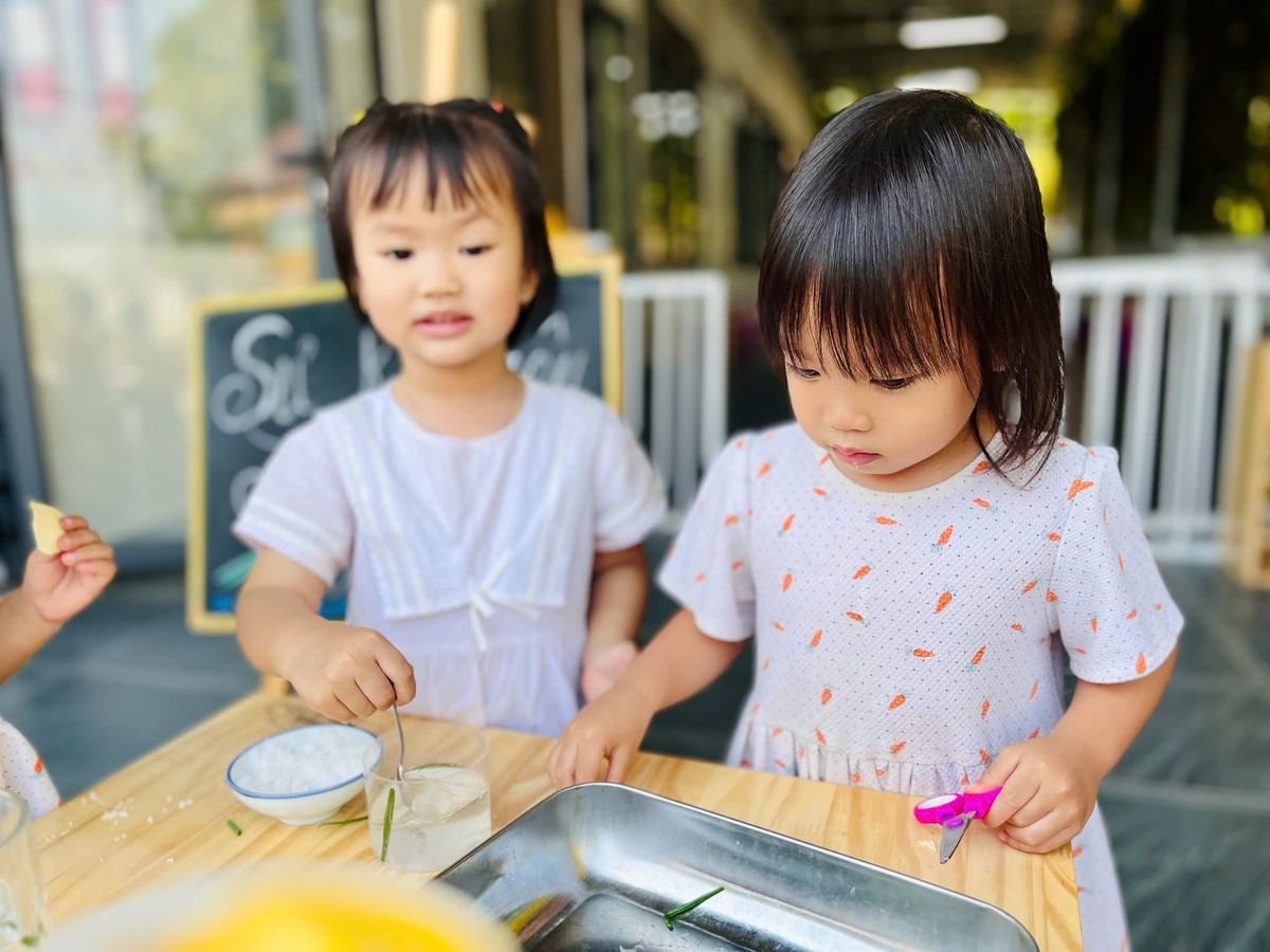 Ảnh hoạt động