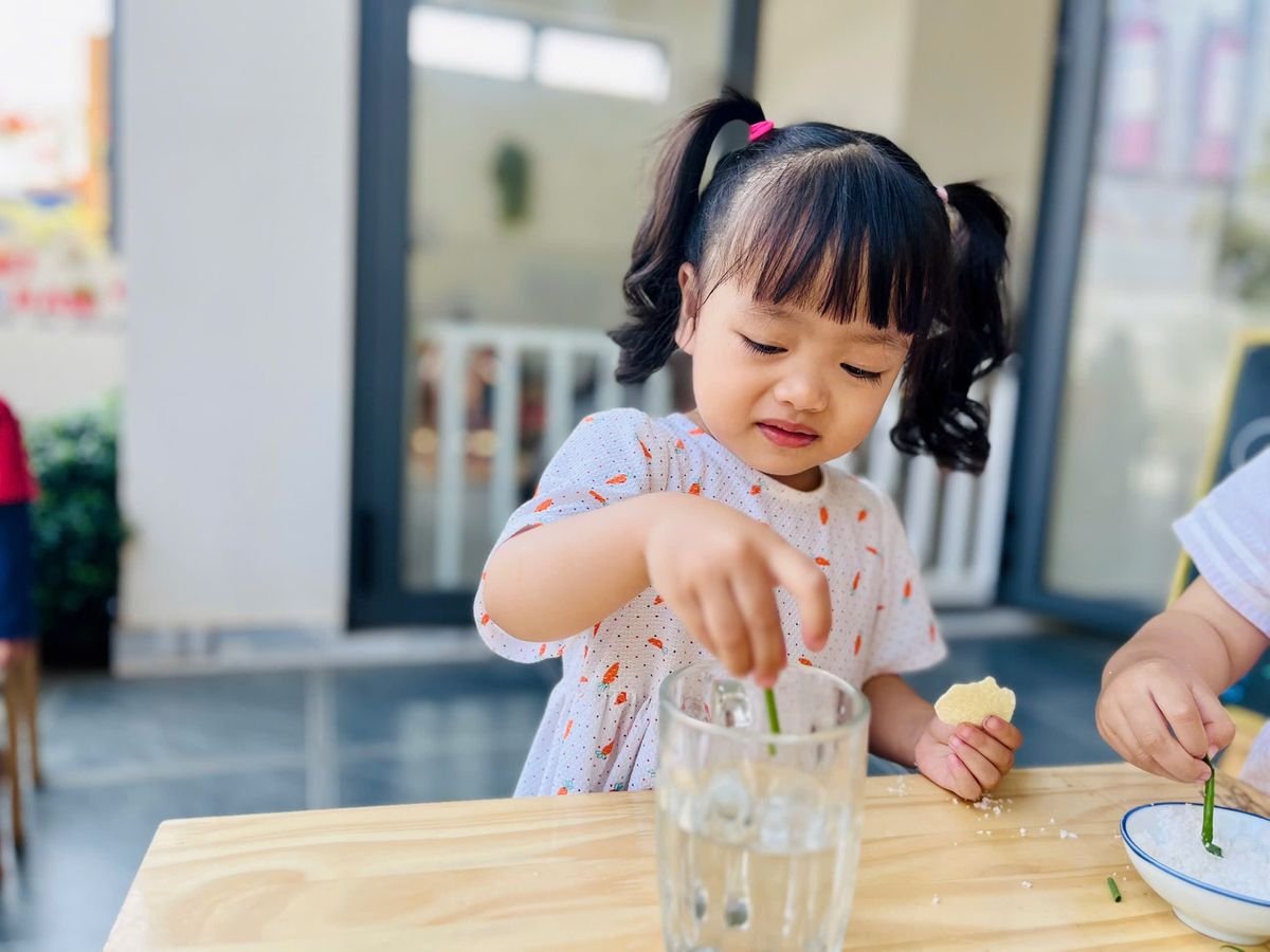 Ảnh hoạt động