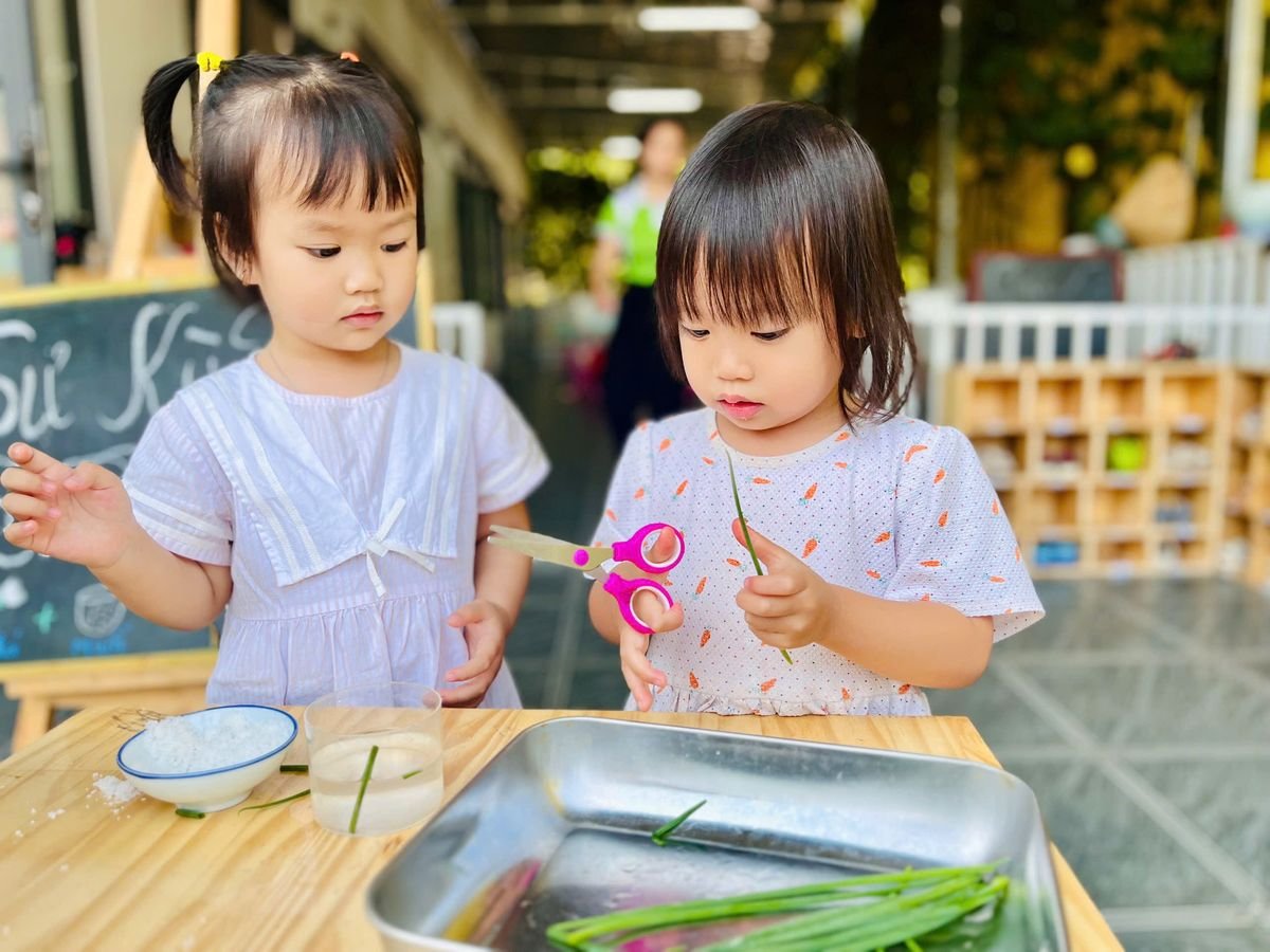 Ảnh hoạt động