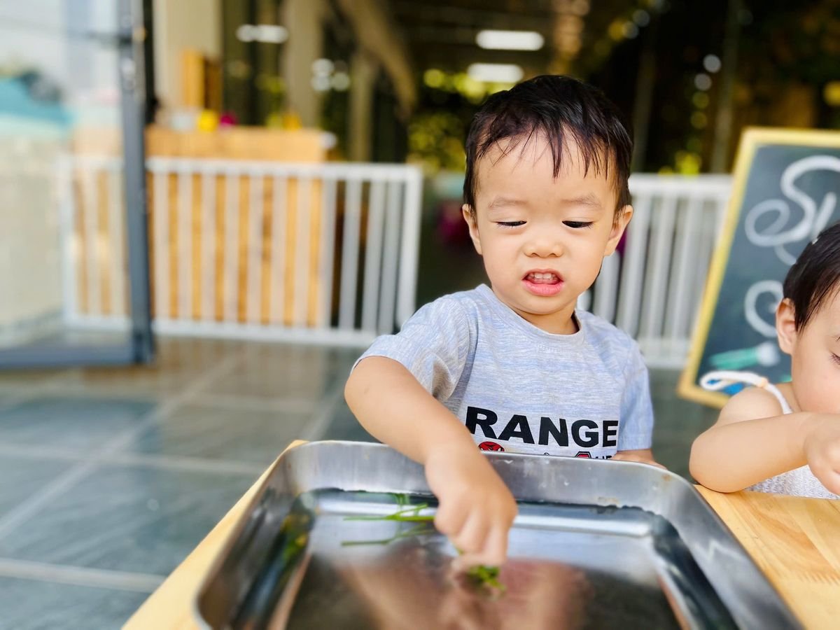 Ảnh hoạt động