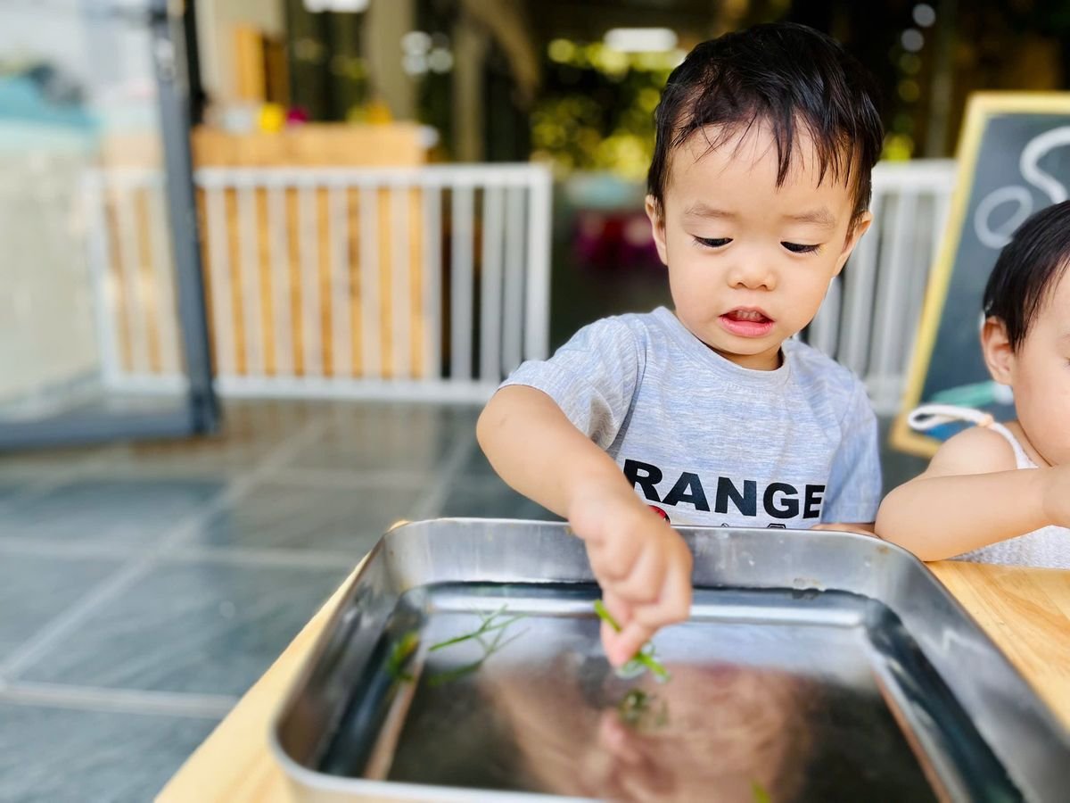 Ảnh hoạt động