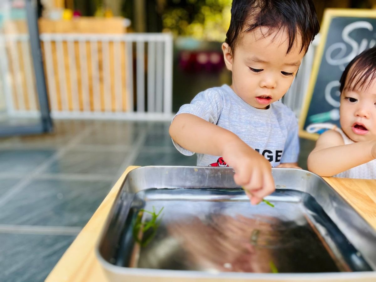 Ảnh hoạt động