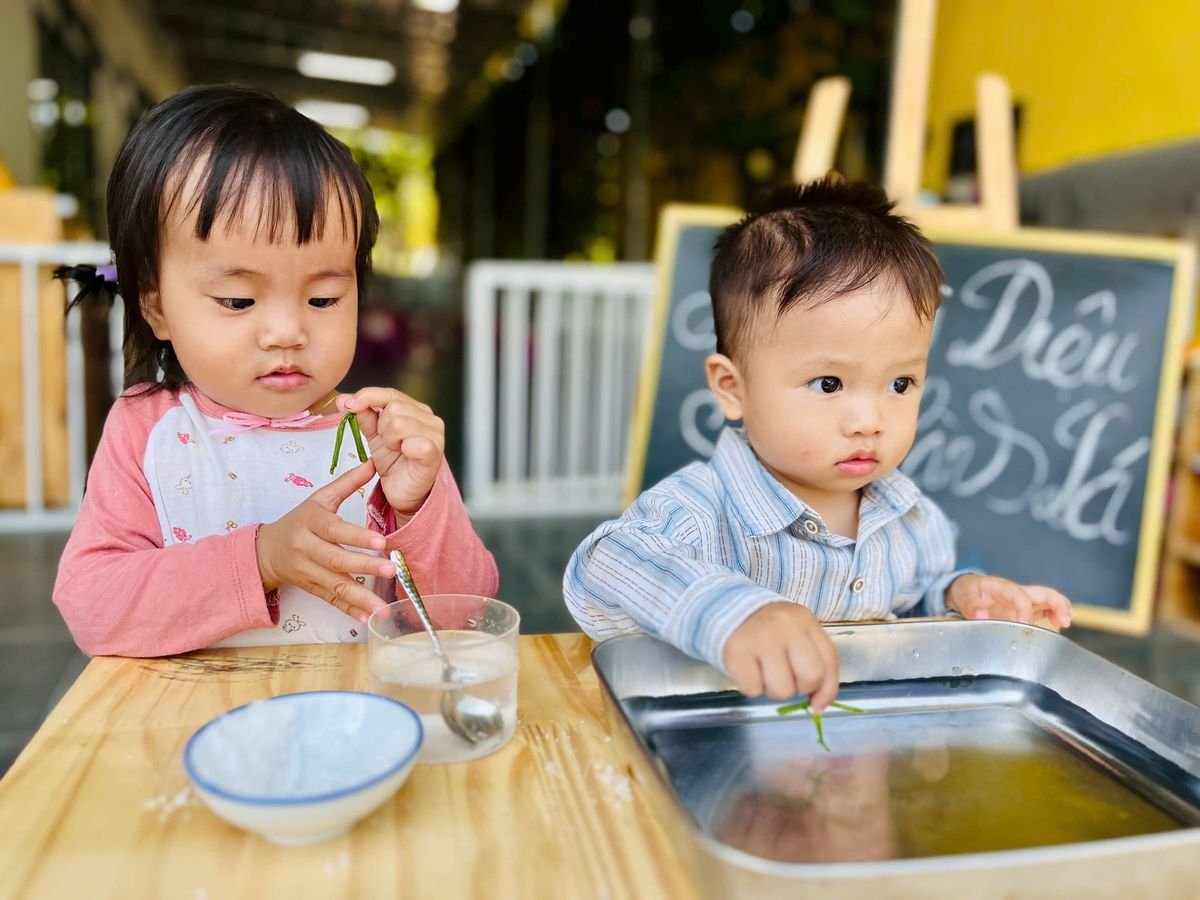 Ảnh hoạt động