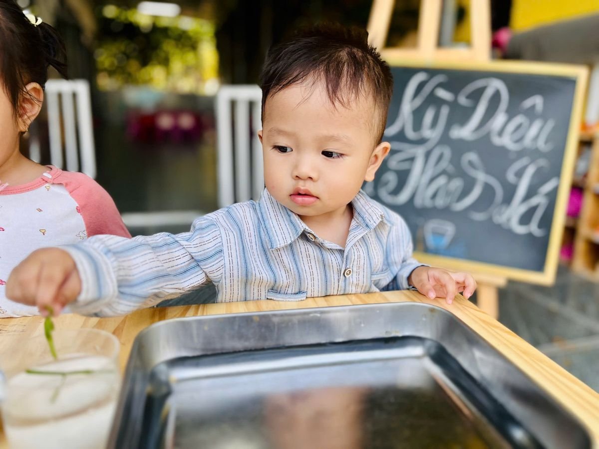 Ảnh hoạt động