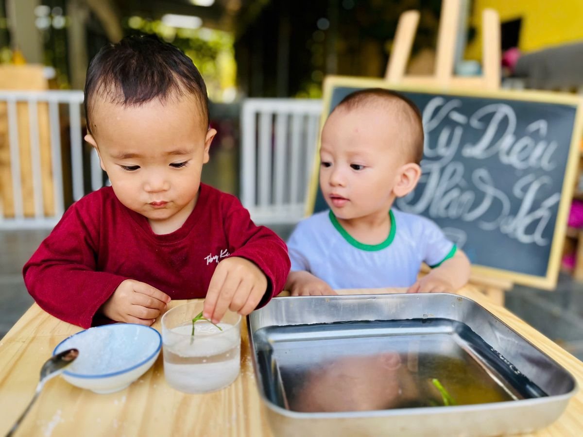 Ảnh hoạt động