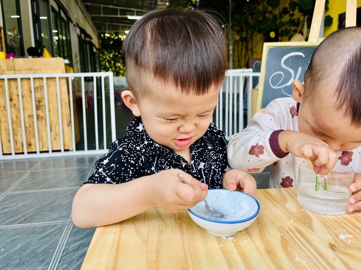 Ảnh hoạt động