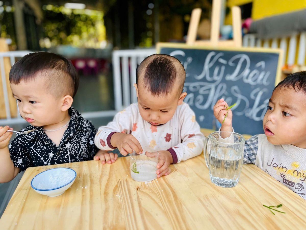 Ảnh hoạt động